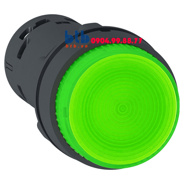 Schneider – Nút nhấn có đèn LED điện áp 24Vdc N/O màu xanh