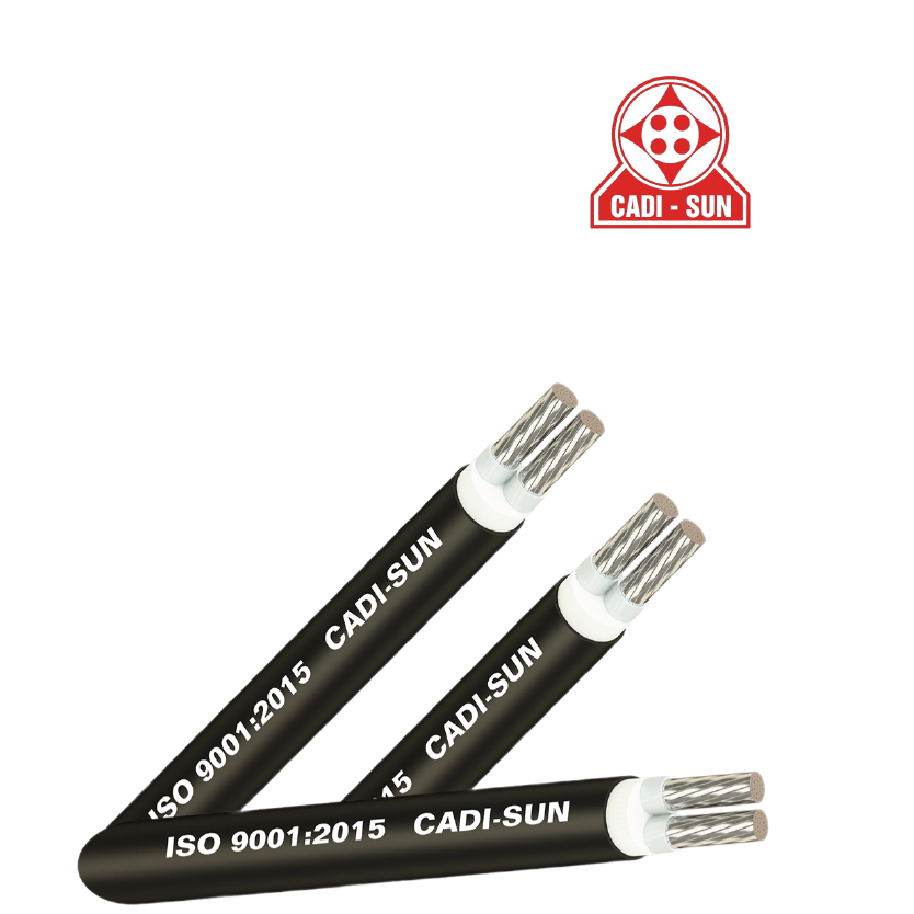 cap nhom ha the cadisun logo