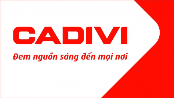 logo cadivi 1