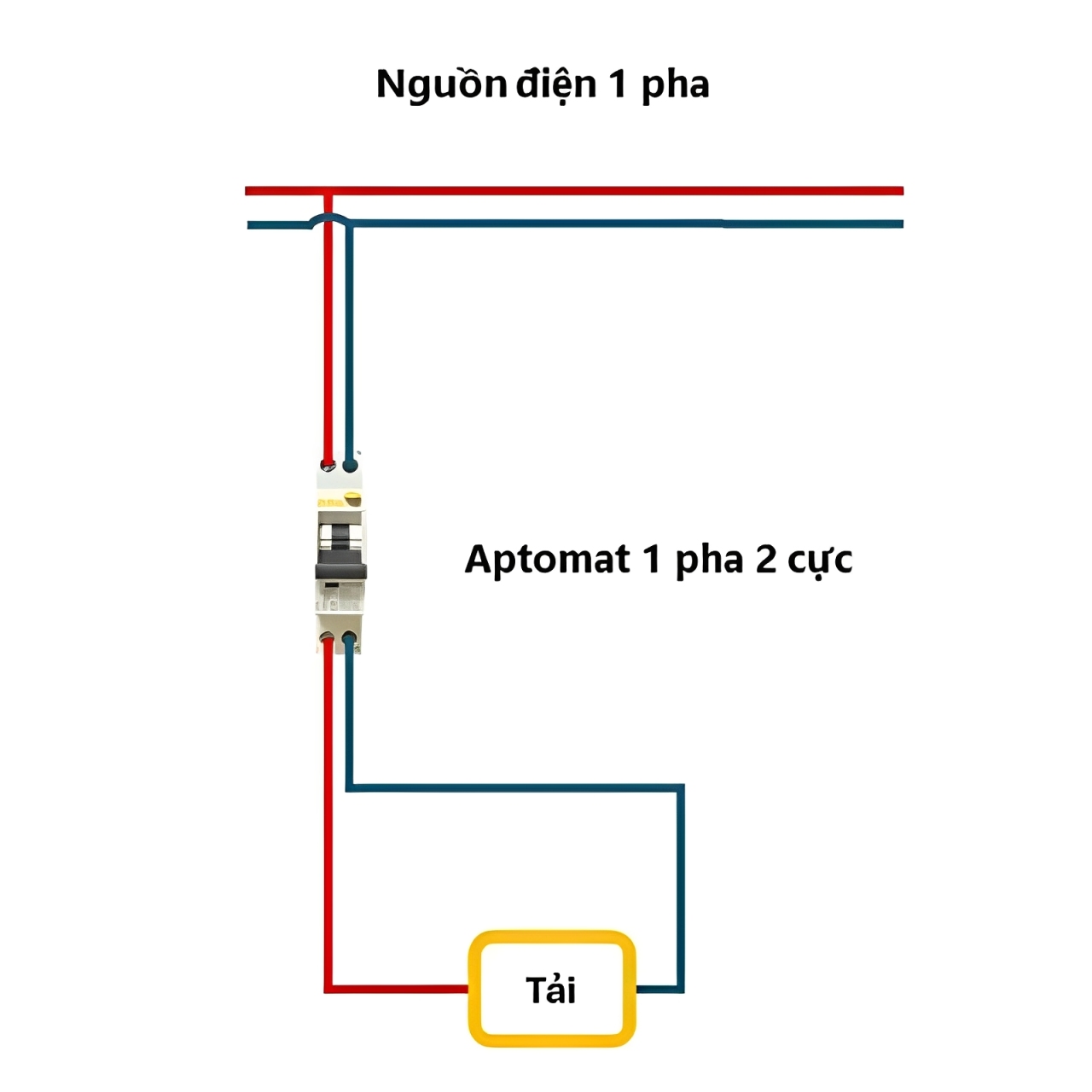 Aptomat 1 pha: Cấu tạo, phân loại và cách đấu dây chuẩn aptomat-1-pha