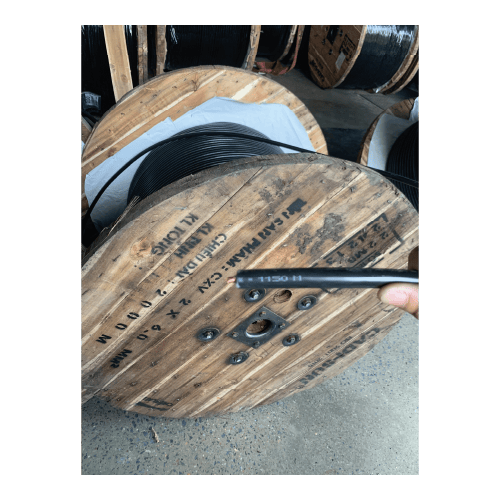 day cap dien Cadisun CXV 2x6.0 anh 2