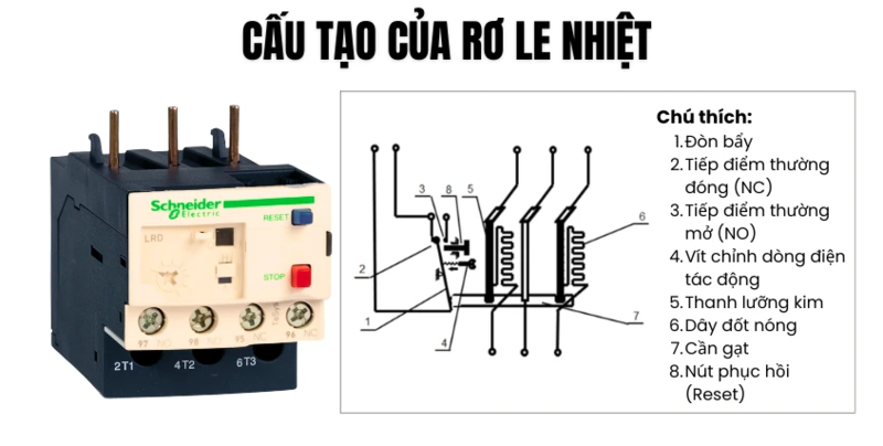 ro le nhiet la gi