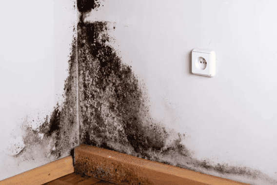 Cách xử lý nhanh khi aptomat bị nhảy về đêm tuong-nom-am-gay-ro-dien