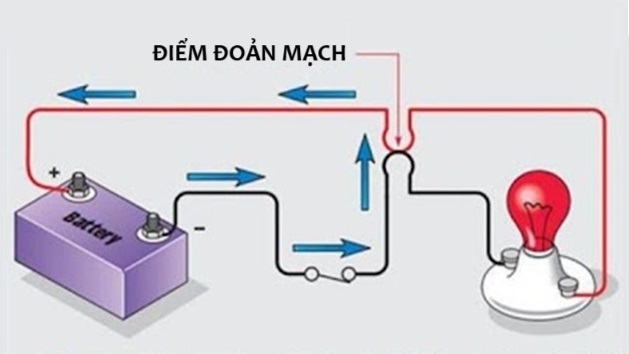 nguyen nhan cau dao dien tu ngat 1