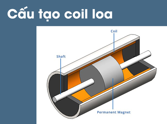 cau tao cua coil loa