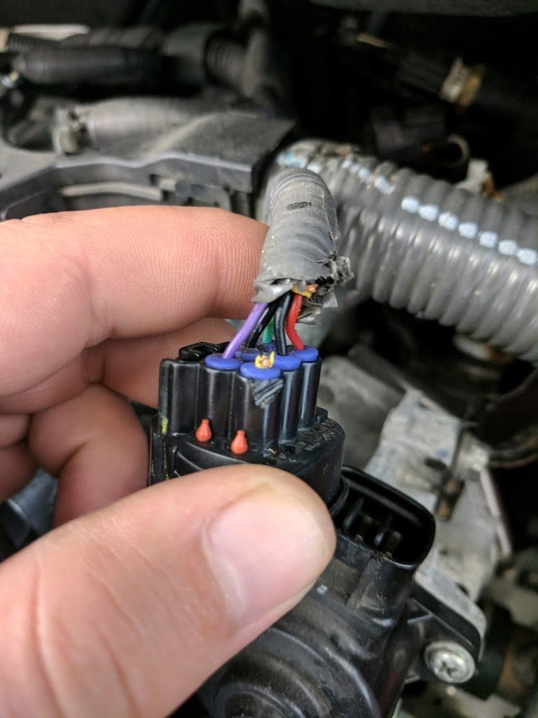 Biện pháp chống chuột cắn dây điện hiệu quả và đơn giản chuot can day dien 2