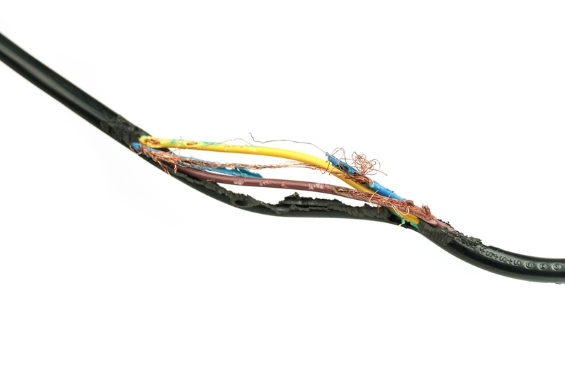 Biện pháp chống chuột cắn dây điện hiệu quả và đơn giản chuot can day dien 4