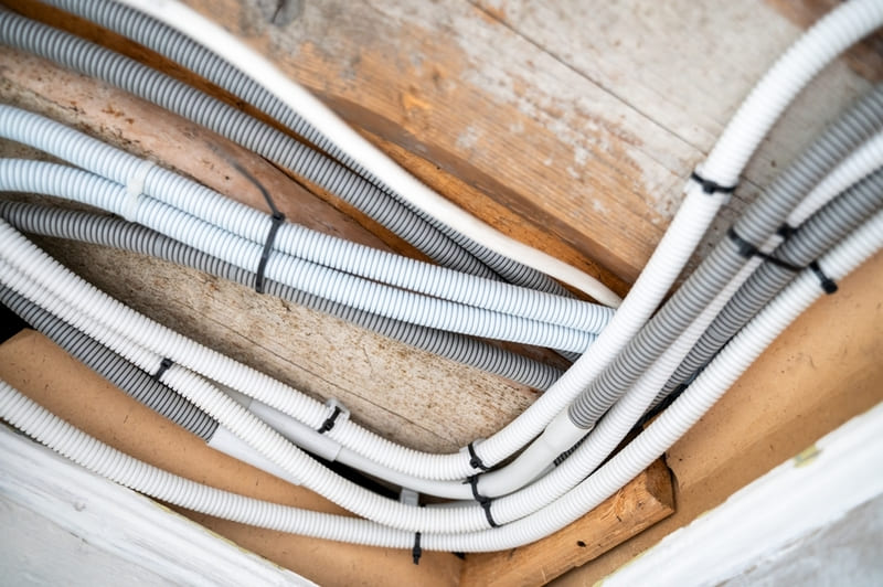 ong ruot ga luon day dien