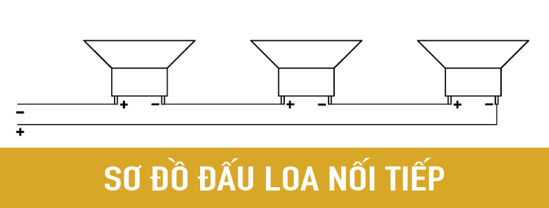 so do dau loa am tran noi tiep